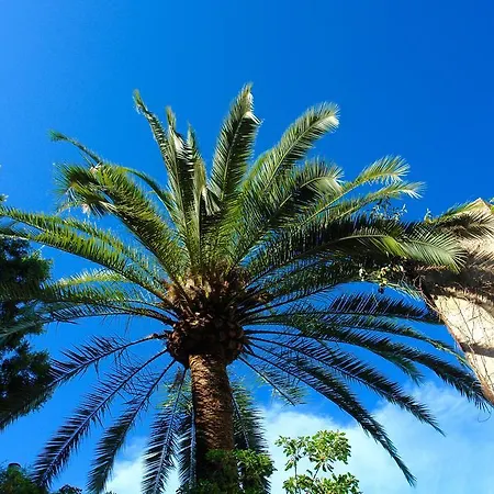 Holiday home Ca'n Perlita Palma de Mallorca